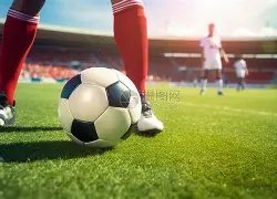 内部人士透,恩比德可能,赛季报销,澳客,okooo澳客网官网,okooo